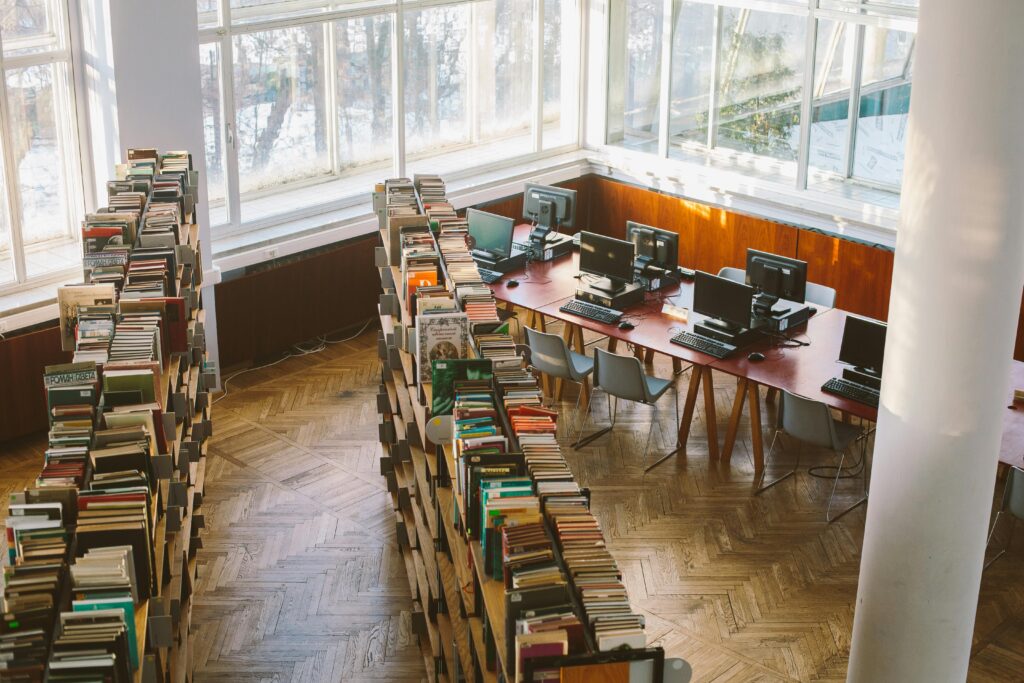 Organisation institutionnelle et économique